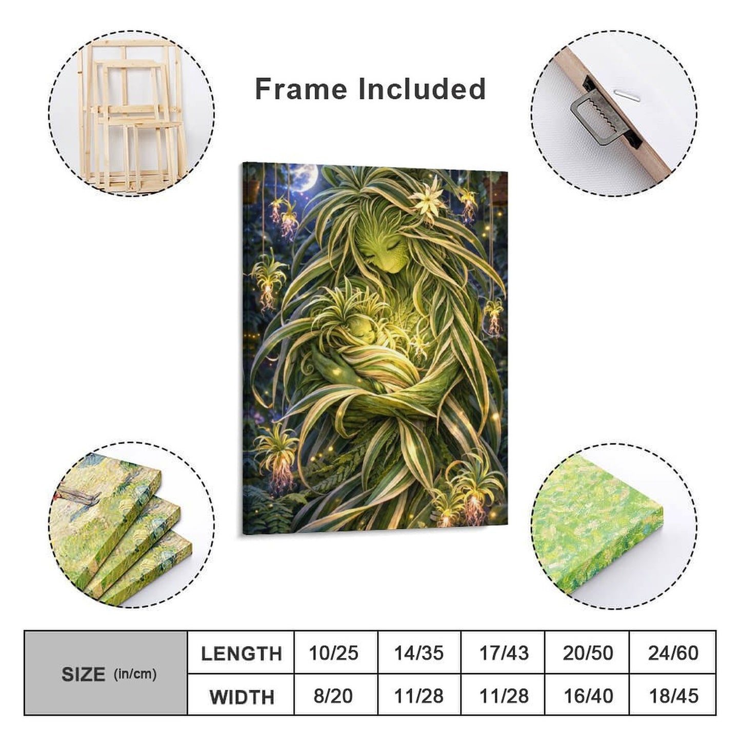 20"x16" Canvas Print Spider Plant